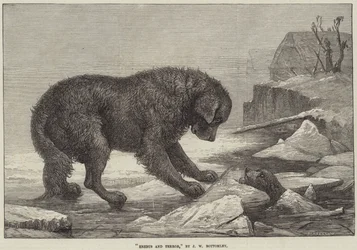 Erebus and Terror
